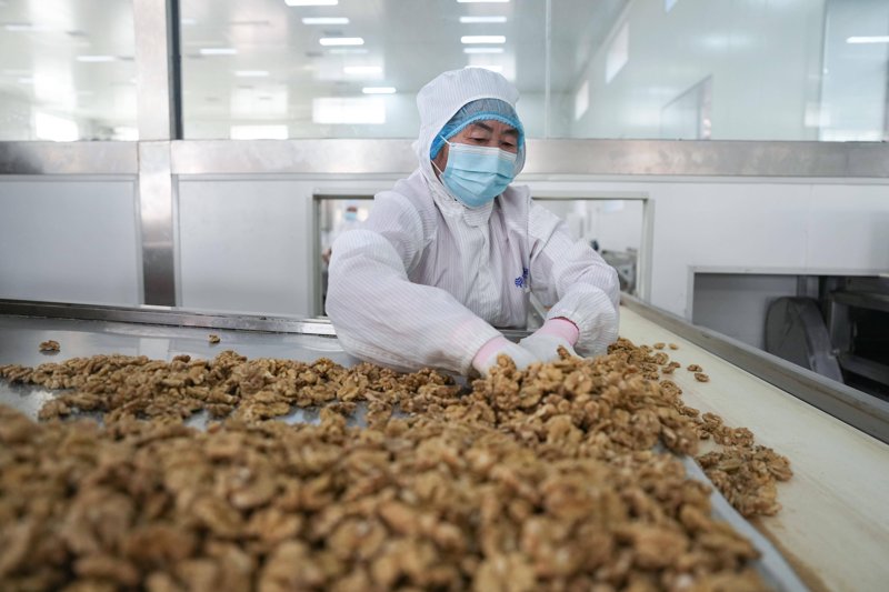 医疗器械批发行业的当前趋势与未来展望